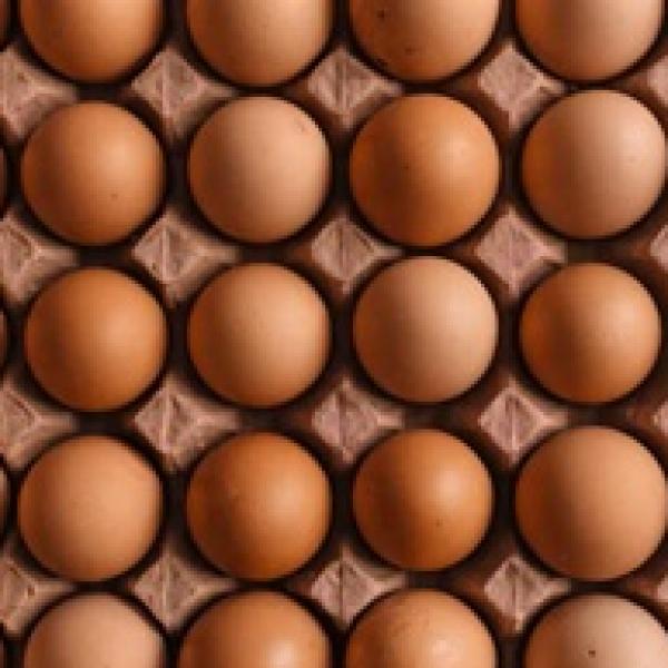 Eggs